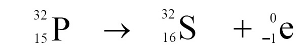 Example of Beta decay, Phosphorus is converted into Sulfer